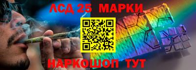 гашик Кулебаки