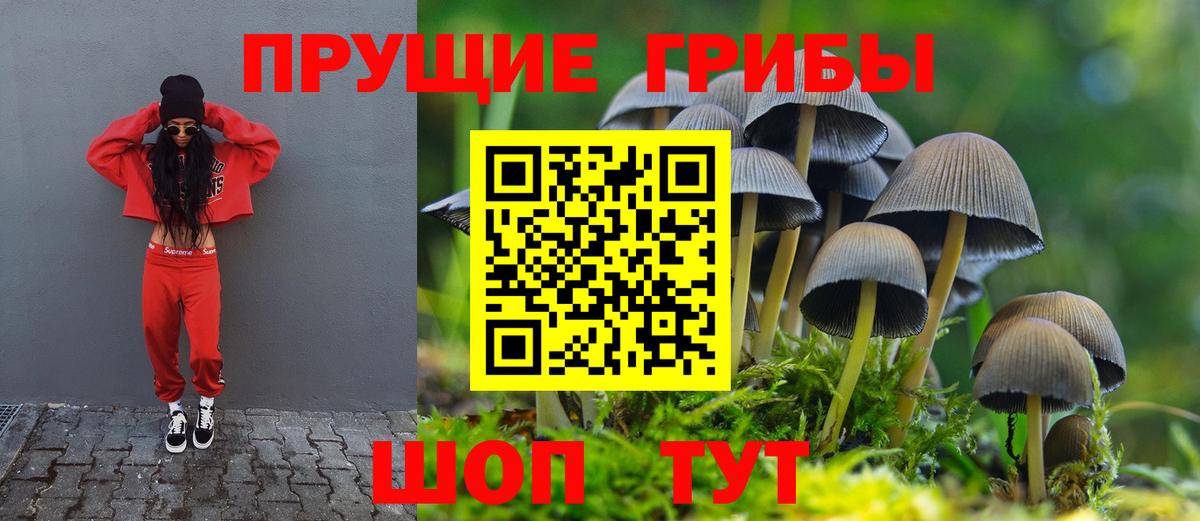 Галлюциногенные грибы GOLDEN TEACHER  Вход с VPN  сколько стоит  Белгород 